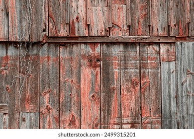 双飞在线 双飞在线