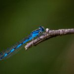 我想插逼 mc4786w