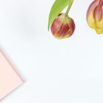 高清不卡日本v二区在线 k2w9jxx